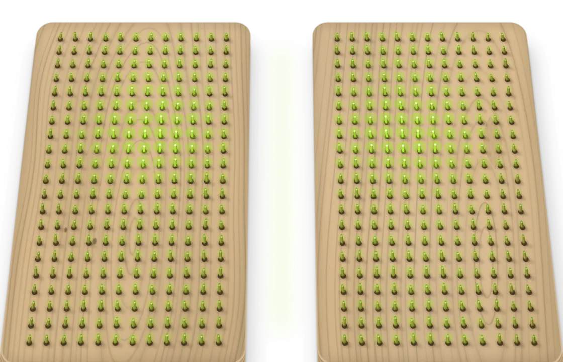Sadhu board for back from above: two halves, the spine in the gap, and the nails on either side where the back presses most